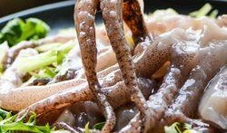 小摊鱿鱼爆料视频大全,视频大全揭秘街头美食背后的故事