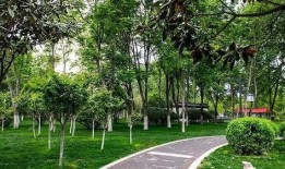 汝州都市爆料最新消息,都市风云再起，揭秘背后惊人真相！